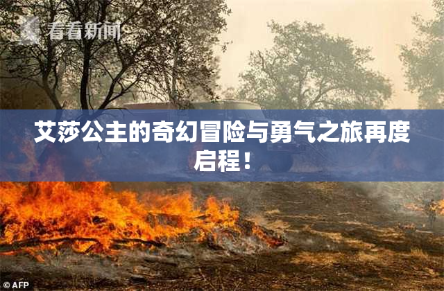 艾莎公主的奇幻冒险与勇气之旅再度启程！
