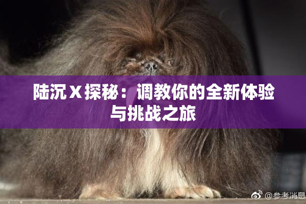 陆沉Ⅹ探秘：调教你的全新体验与挑战之旅