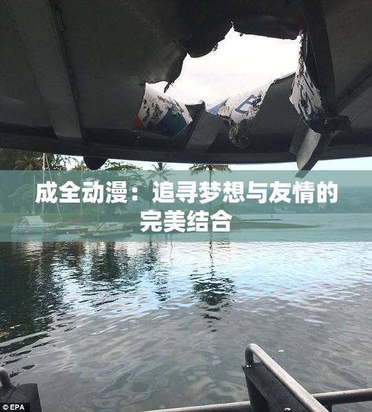 成全动漫：追寻梦想与友情的完美结合