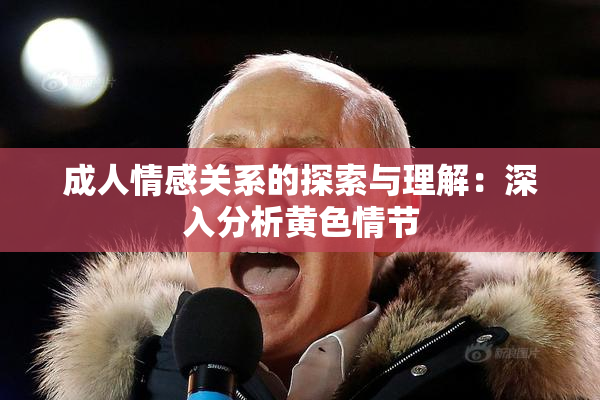 成人情感关系的探索与理解：深入分析黄色情节