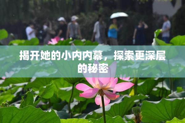 揭开她的小内内幕，探索更深层的秘密