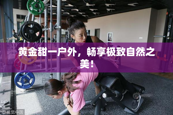 黄金甜一户外，畅享极致自然之美！