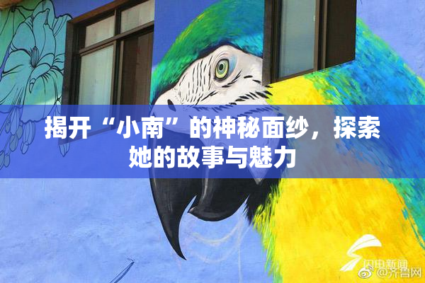 揭开“小南”的神秘面纱，探索她的故事与魅力