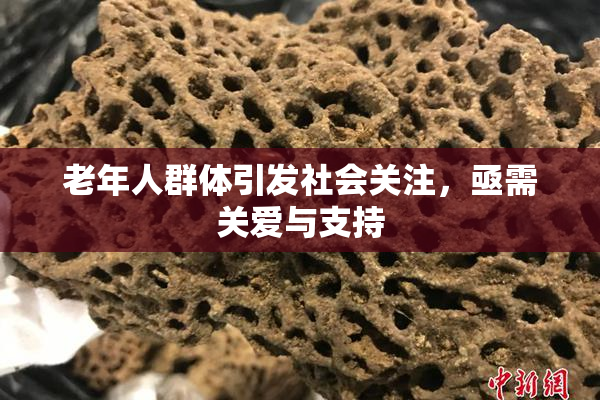 老年人群体引发社会关注，亟需关爱与支持