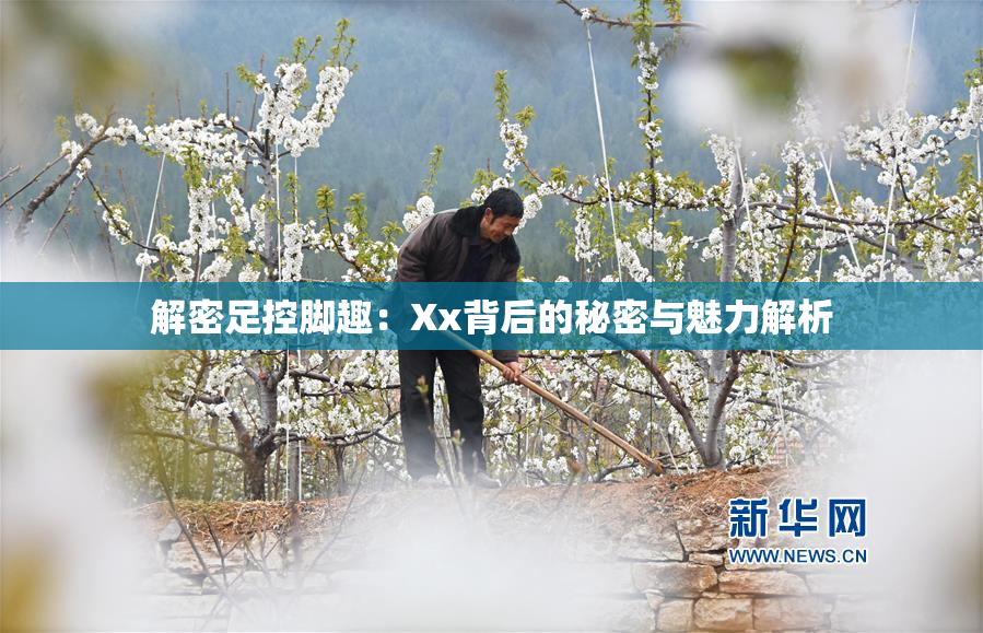 解密足控脚趣：Xx背后的秘密与魅力解析