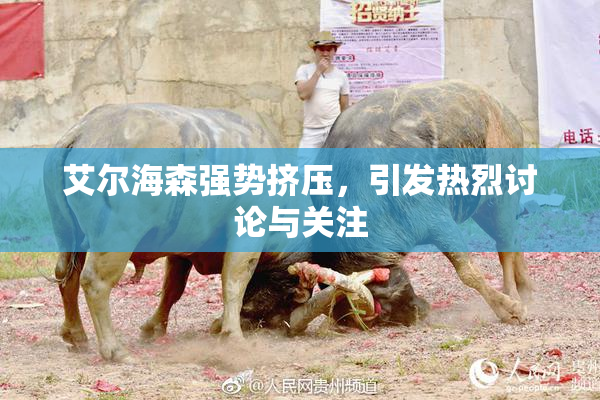艾尔海森强势挤压，引发热烈讨论与关注