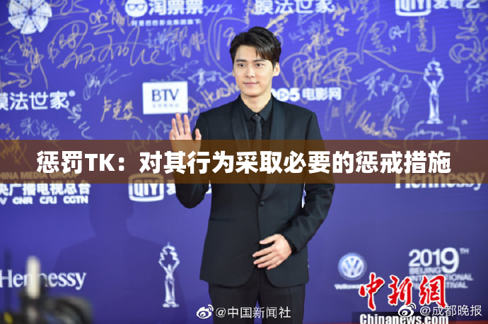 惩罚TK：对其行为采取必要的惩戒措施