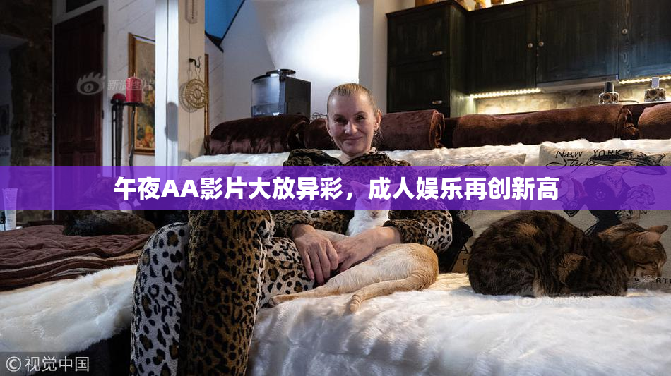 午夜AA影片大放异彩，成人娱乐再创新高