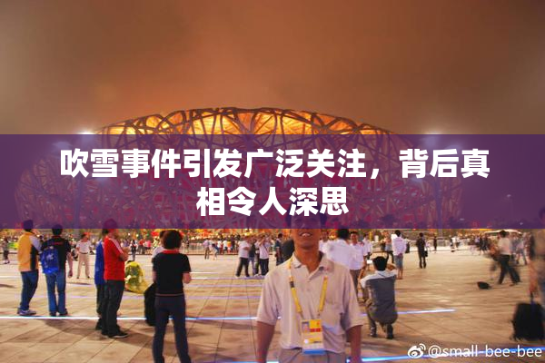 吹雪事件引发广泛关注，背后真相令人深思