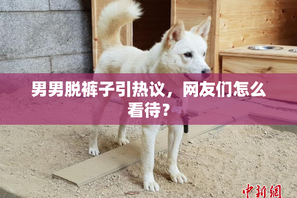 男男脱裤子引热议，网友们怎么看待？