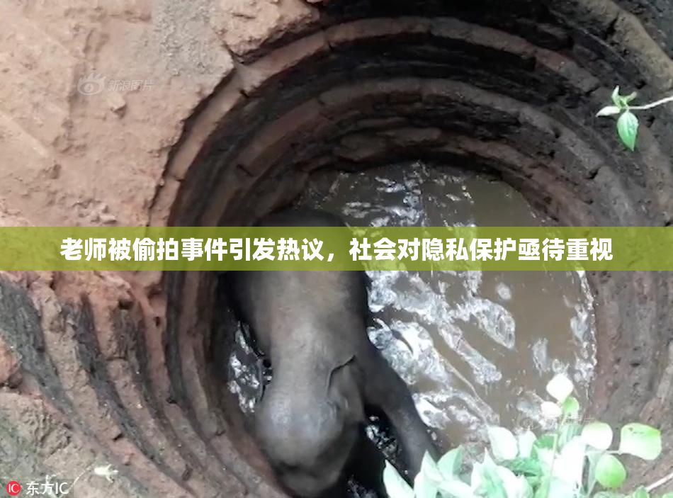 老师被偷拍事件引发热议，社会对隐私保护亟待重视
