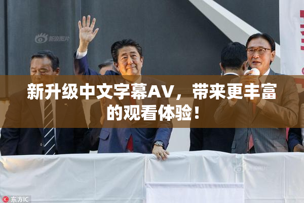 新升级中文字幕AV，带来更丰富的观看体验！