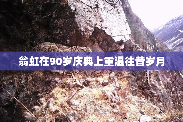翁虹在90岁庆典上重温往昔岁月