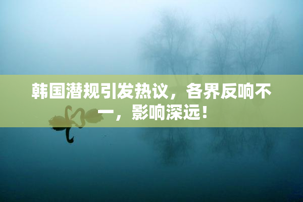 韩国潜规引发热议，各界反响不一，影响深远！