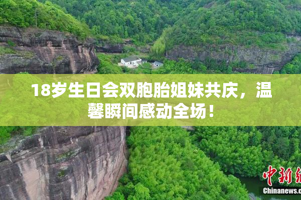 18岁生日会双胞胎姐妹共庆，温馨瞬间感动全场！