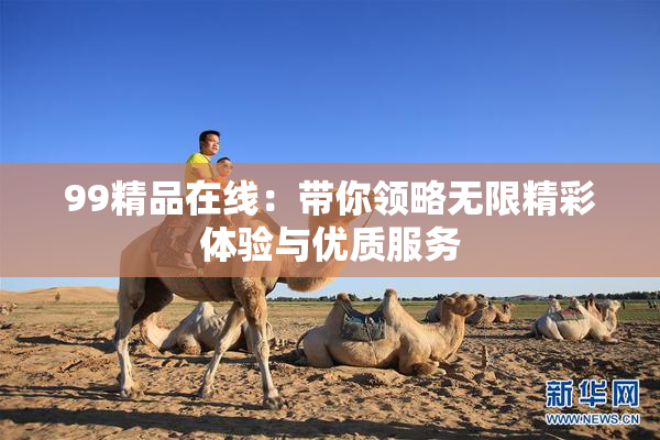 99精品在线：带你领略无限精彩体验与优质服务