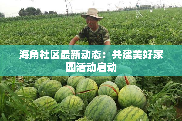 海角社区最新动态：共建美好家园活动启动