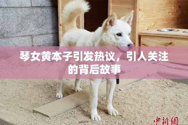 琴女黄本子引发热议，引人关注的背后故事