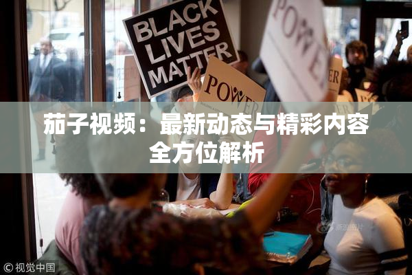 茄子视频：最新动态与精彩内容全方位解析