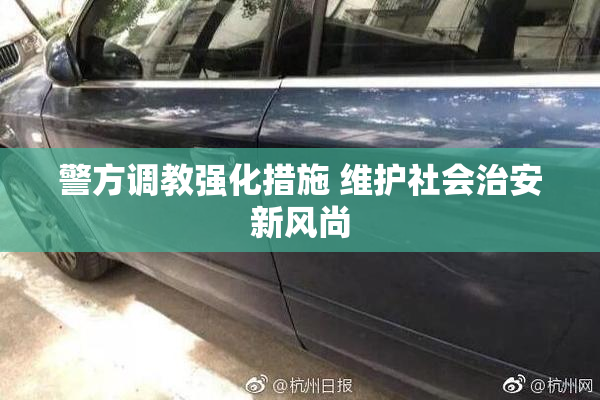 警方调教强化措施 维护社会治安新风尚