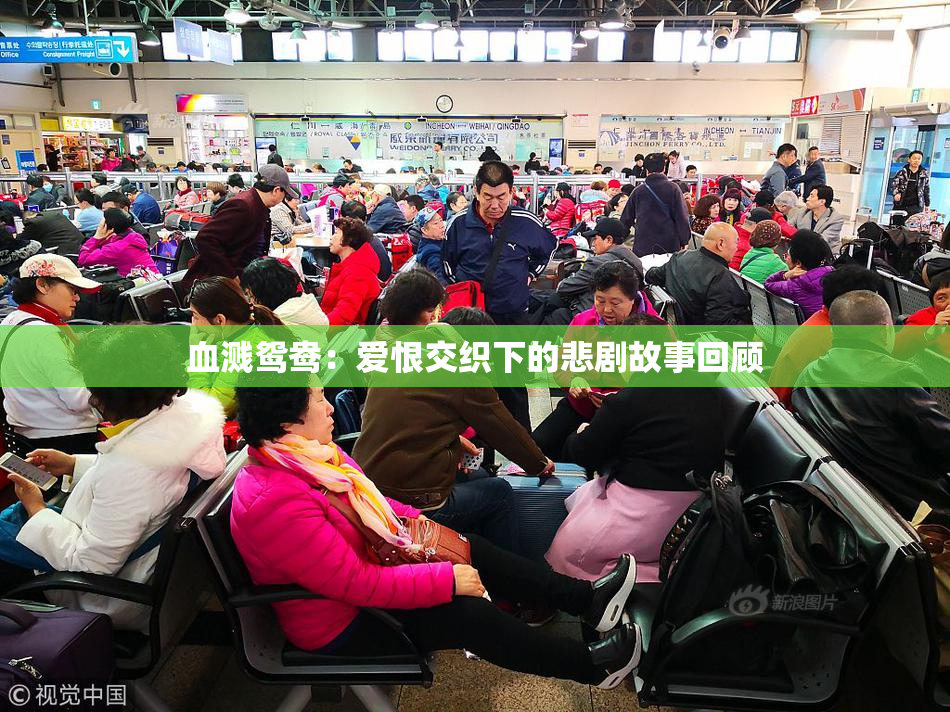 血溅鸳鸯：爱恨交织下的悲剧故事回顾
