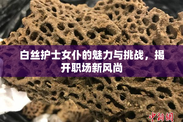 白丝护士女仆的魅力与挑战，揭开职场新风尚