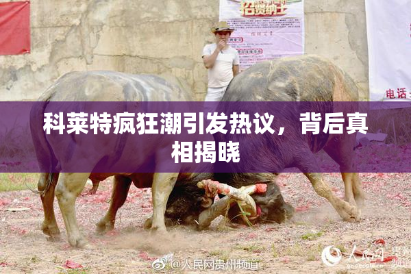 科莱特疯狂潮引发热议，背后真相揭晓
