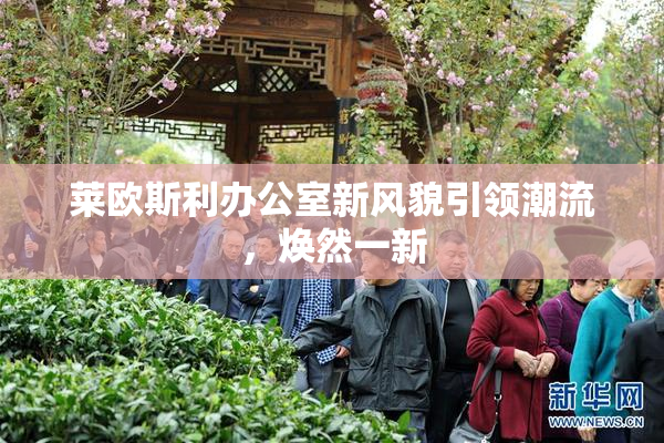 莱欧斯利办公室新风貌引领潮流，焕然一新