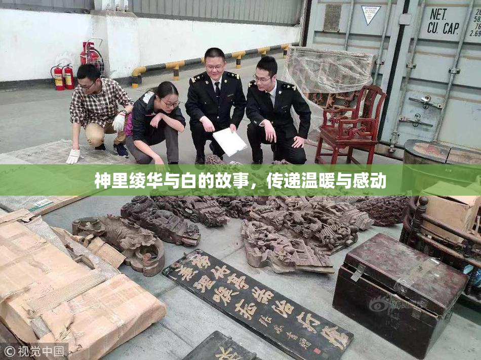 神里绫华与白的故事，传递温暖与感动