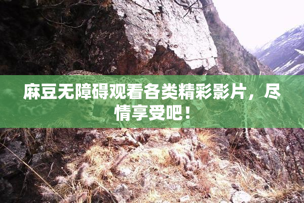 麻豆无障碍观看各类精彩影片，尽情享受吧！