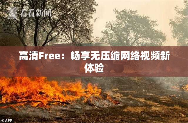 高清Free：畅享无压缩网络视频新体验