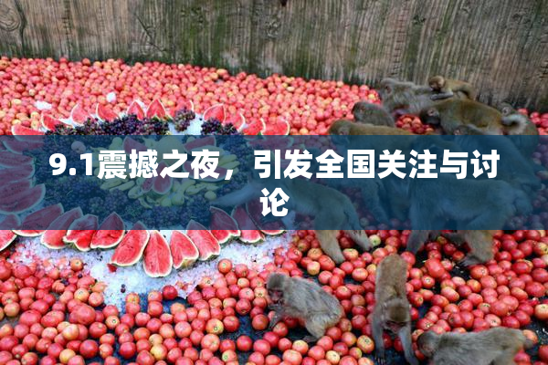 9.1震撼之夜，引发全国关注与讨论