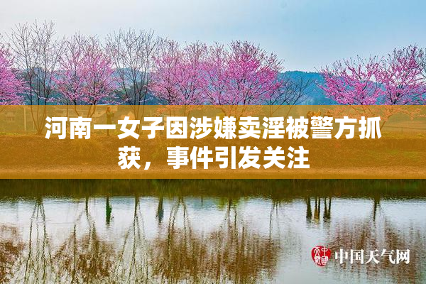 河南一女子因涉嫌卖淫被警方抓获，事件引发关注