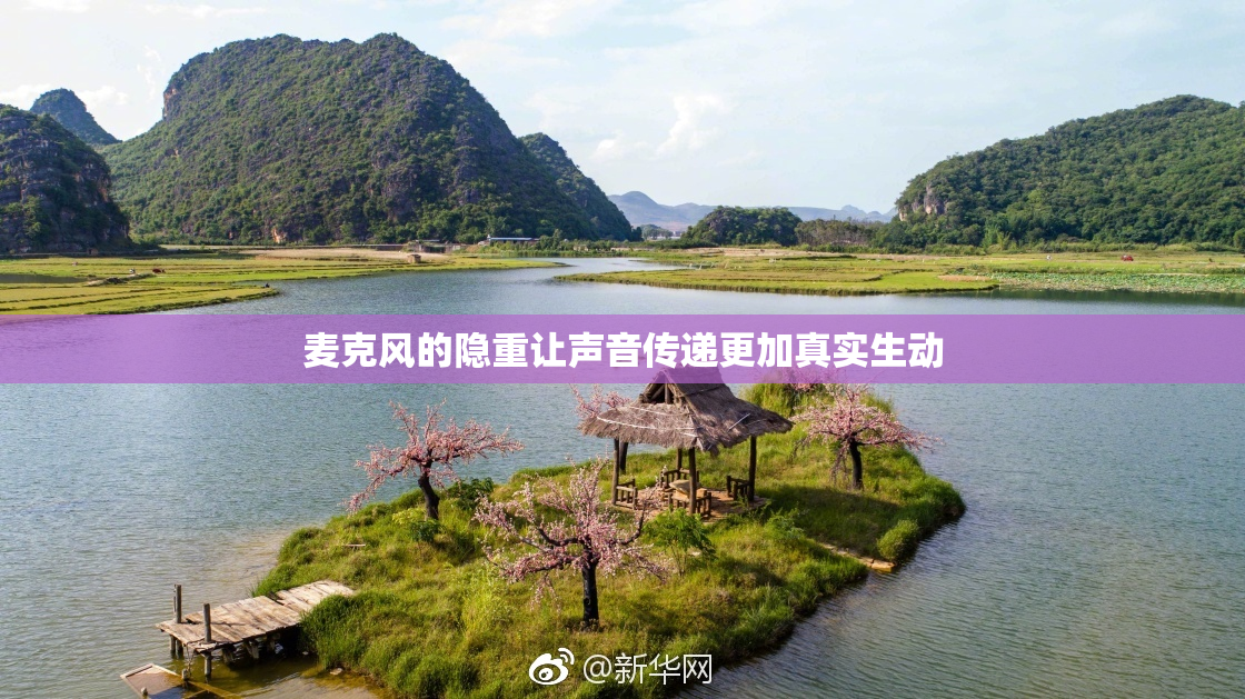 麦克风的隐重让声音传递更加真实生动