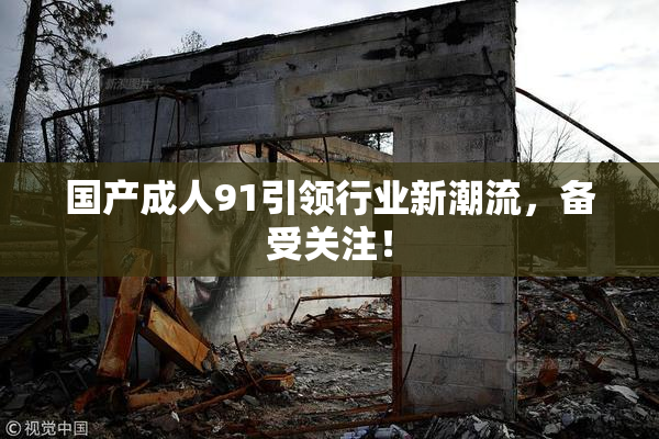 国产成人91引领行业新潮流，备受关注！