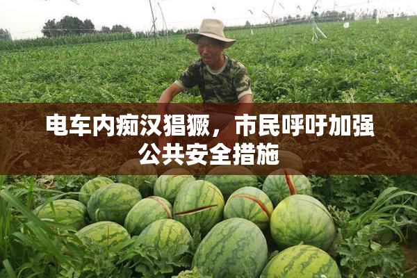 电车内痴汉猖獗，市民呼吁加强公共安全措施