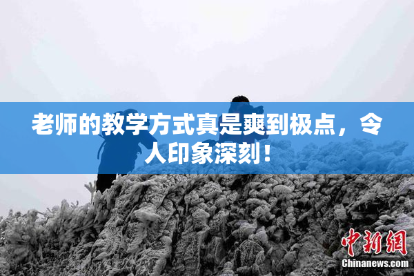老师的教学方式真是爽到极点，令人印象深刻！