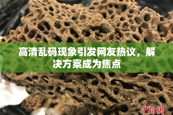 高清乱码现象引发网友热议，解决方案成为焦点