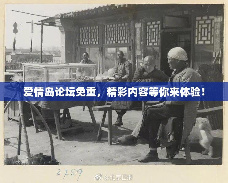 爱情岛论坛免重，精彩内容等你来体验！