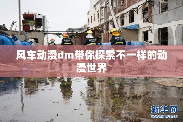 风车动漫dm带你探索不一样的动漫世界