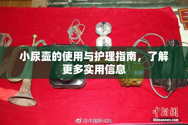小尿壶的使用与护理指南，了解更多实用信息