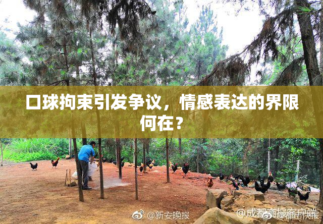 口球拘束引发争议，情感表达的界限何在？