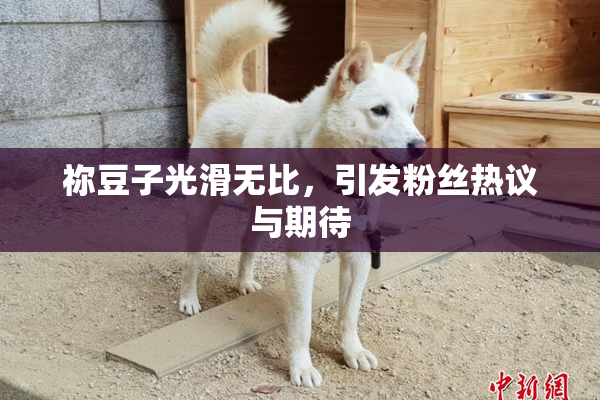 祢豆子光滑无比，引发粉丝热议与期待