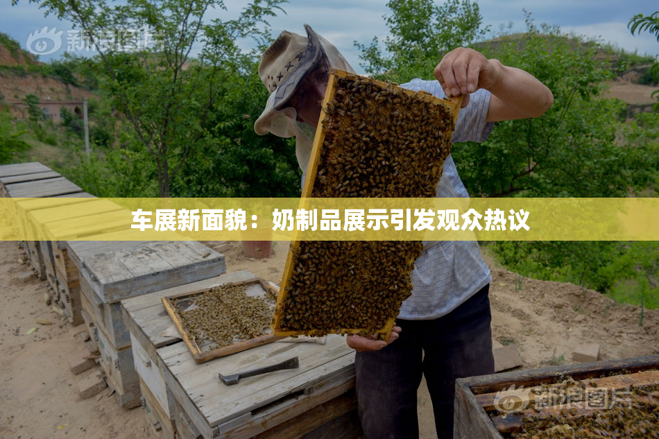 车展新面貌：奶制品展示引发观众热议