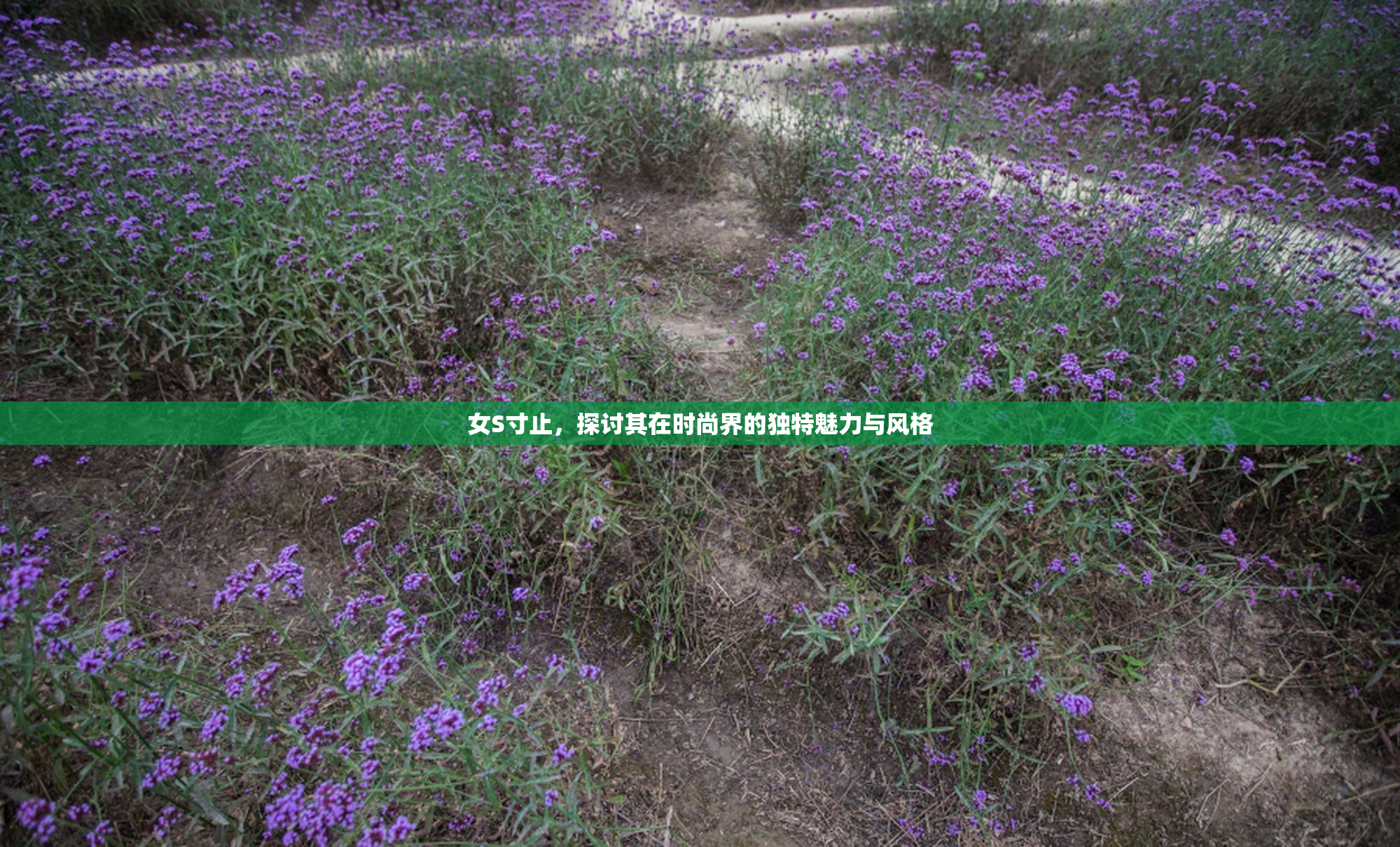 女S寸止，探讨其在时尚界的独特魅力与风格