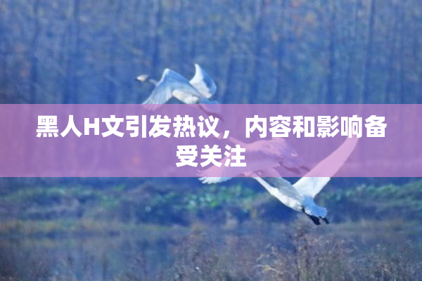 黑人H文引发热议，内容和影响备受关注