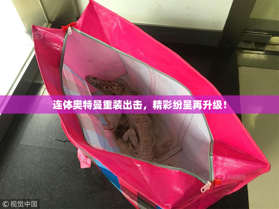 连体奥特曼重装出击，精彩纷呈再升级！