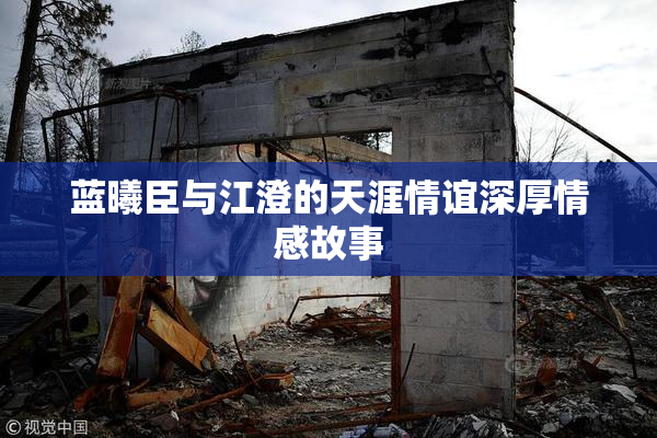 蓝曦臣与江澄的天涯情谊深厚情感故事