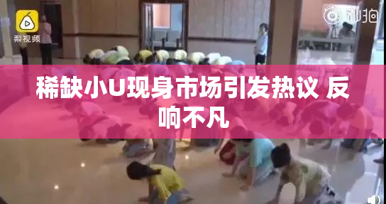 稀缺小U现身市场引发热议 反响不凡