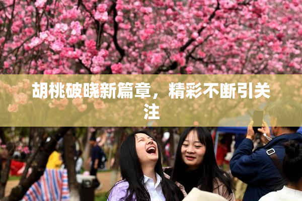胡桃破晓新篇章，精彩不断引关注